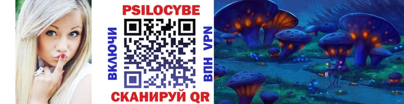 Псилоцибиновые грибы Magic Shrooms  купить закладку  Нововоронеж 